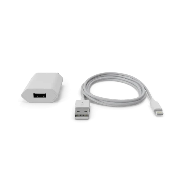Apple iPhone Charger