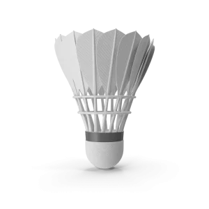 Feather Shuttlecock