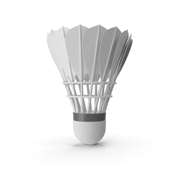 Feather Shuttlecock Feather Shuttlecock