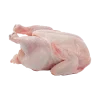 Chicken Meat