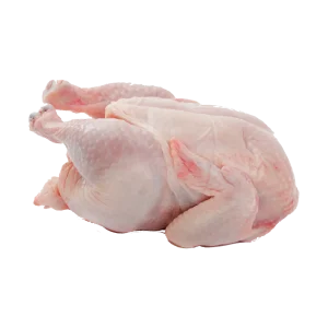Chicken Meat Chicken Meat