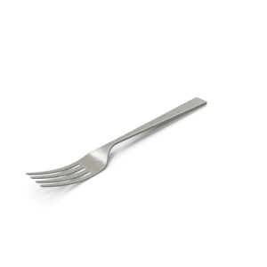 Fork Fork