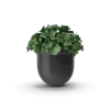 Plant Pot Plant Pot