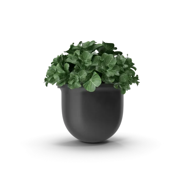 Plant Pot Plant Pot