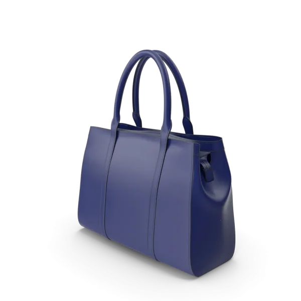 Blue Women's Handbag Blue Women's Handbag