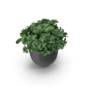 Plant Pot Plant Pot