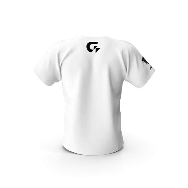 Gigabyte Aorus Men Tshirt
