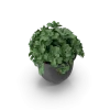 Plant Pot Plant Pot