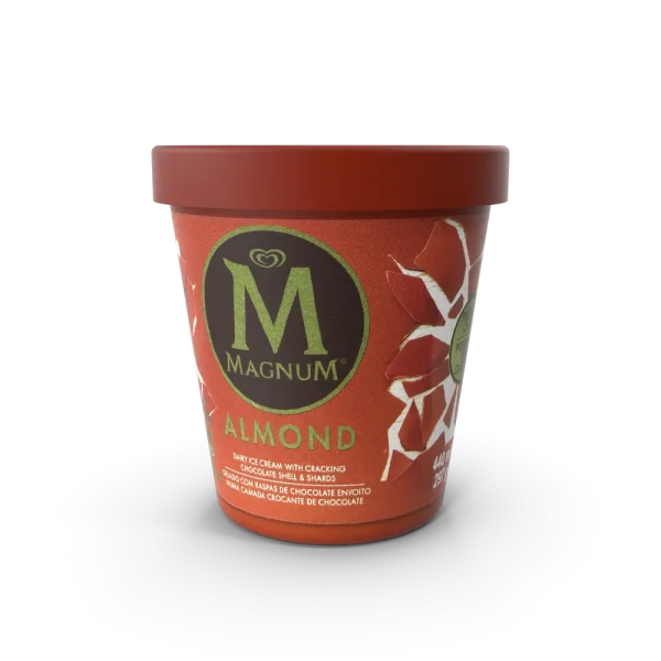 Ice Cream Ice Cream